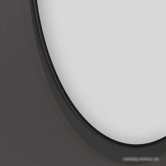 Wellsee Зеркало 7 Rays' Spectrum 172201860, 110 x 55 см