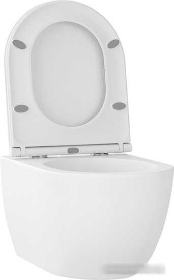 Унитаз подвесной Wellsee Chalice Perfection RimFree 182608001 (чаша, пневмокрышка, матовый белый)