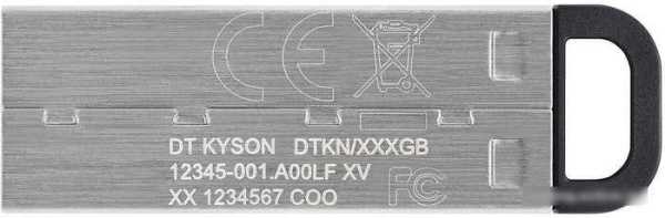 USB Flash Kingston Kyson 256GB