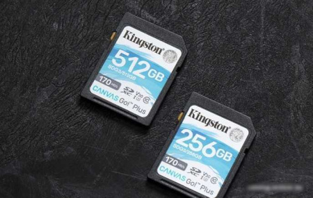 Карта памяти Kingston Canvas Go! Plus SDXC 512GB