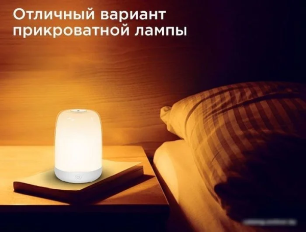 Ночник Evolution A100