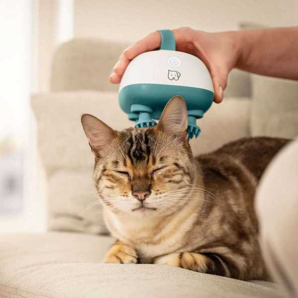 Массажная щетка Beurer Buddy